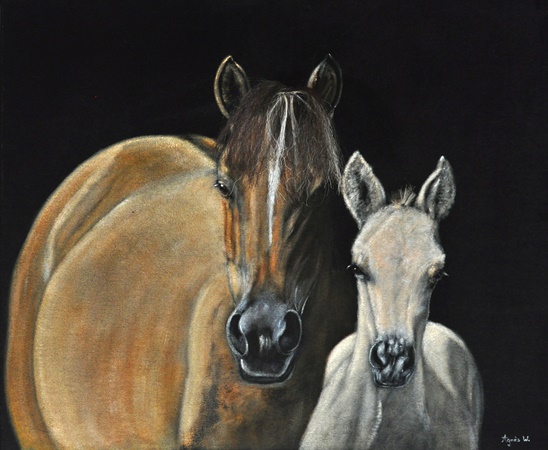 64 x 55 cm (disponible).
cliquer sur l'image pour revenir &agrave; la page pr&eacute;c&eacute;dente