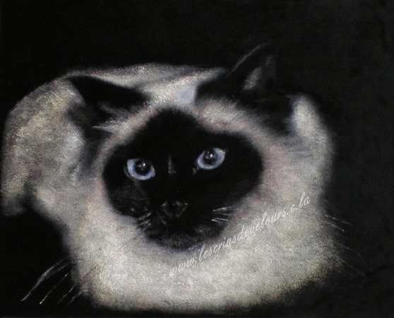 24 x 30 cm, Collection priv�e.
cliquer sur l'image pour revenir � la page pr�c�dente