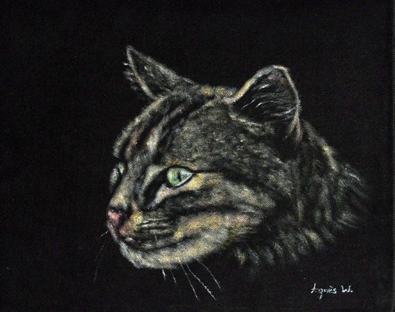30 x 24 cm, (disponible).
cliquer sur l'image pour revenir � la page pr�c�dente