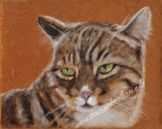 30 x 24 cm, Collection priv�e.
cliquer sur l'image pour revenir � la page pr�c�dente