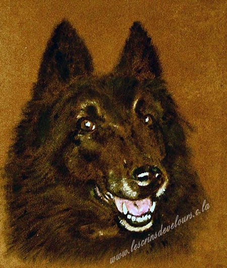 24 x 30 cm, Collection priv�e.
cliquer sur l'image pour revenir � la page pr�c�dente