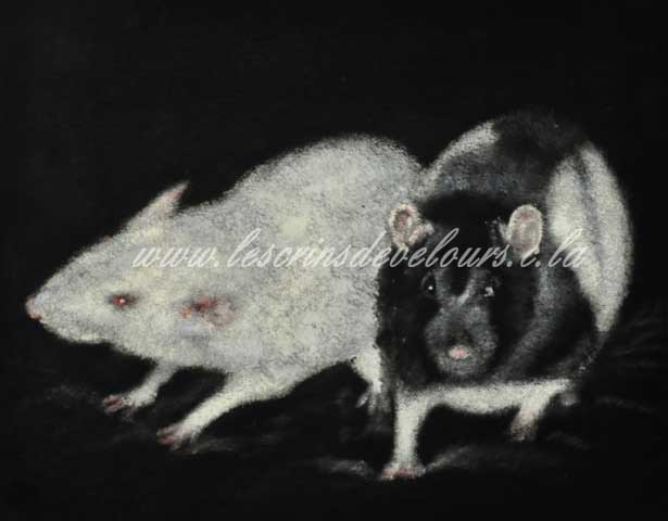 24 x 30 cm, Collection priv�e
cliquer sur l'image pour revenir � la page pr�c�dente