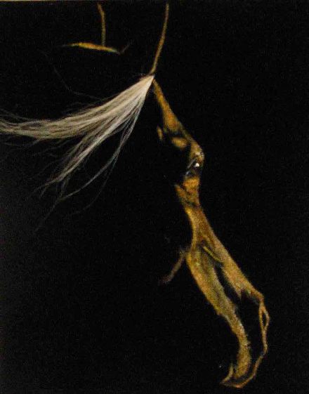 24 x 30 cm, Collection priv�e.
cliquer sur l'image pour revenir � la page pr�c�dente