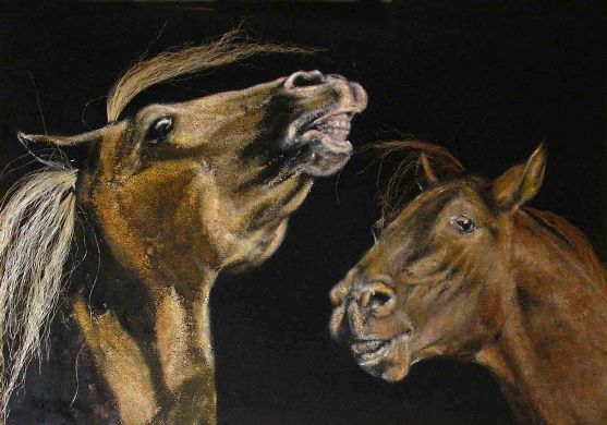 60 x 40 cm.
cliquer sur l'image pour revenir &agrave; la page pr&eacute;c&eacute;dente